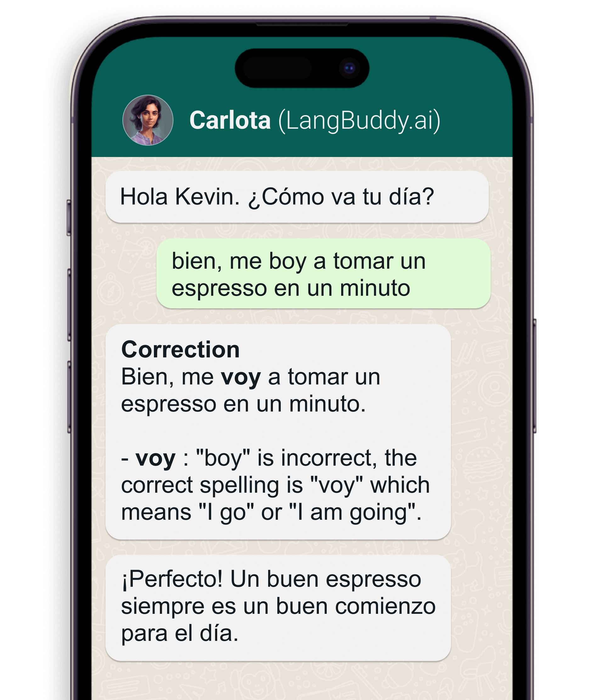 Customer profile user interface